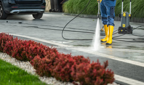 Best Roof Washing  in Takoma Park, MD